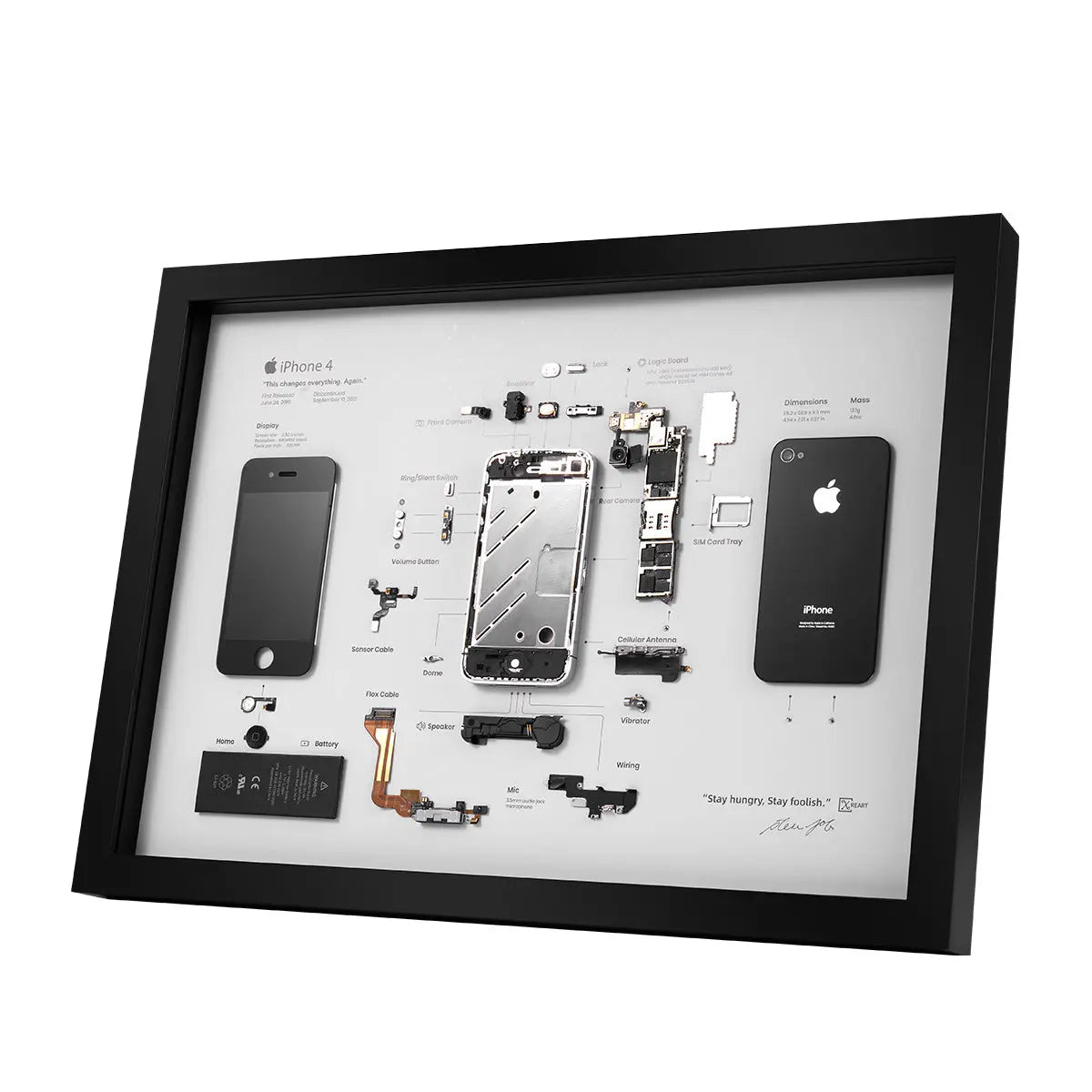 Framed Circuit Gallery Image
